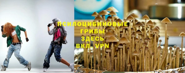 тгк Сафоново